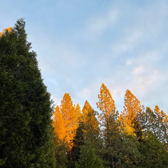 Meet your Posher, E - Picture 1 of 1